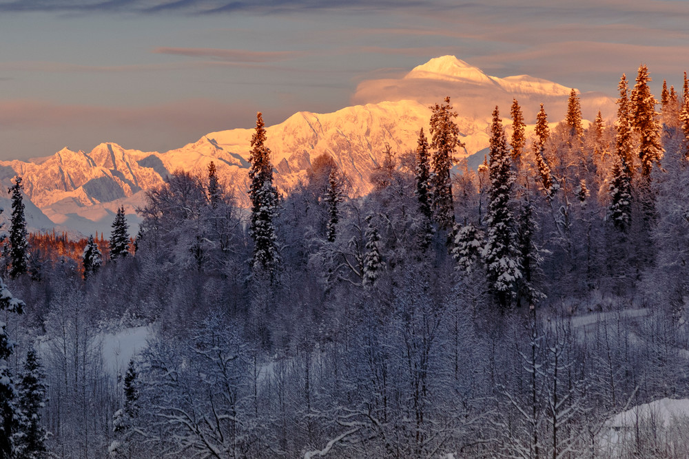 Winter landscape of clearing storm over the south side view of Denali (Mt. Mckinley) and  the Alaska Range and snow-covered forest. Southcentral, Alaska  

Photo by Jeff Schultz/SchultzPhoto.com  (C) 2016  ALL RIGHTS RESVERVED