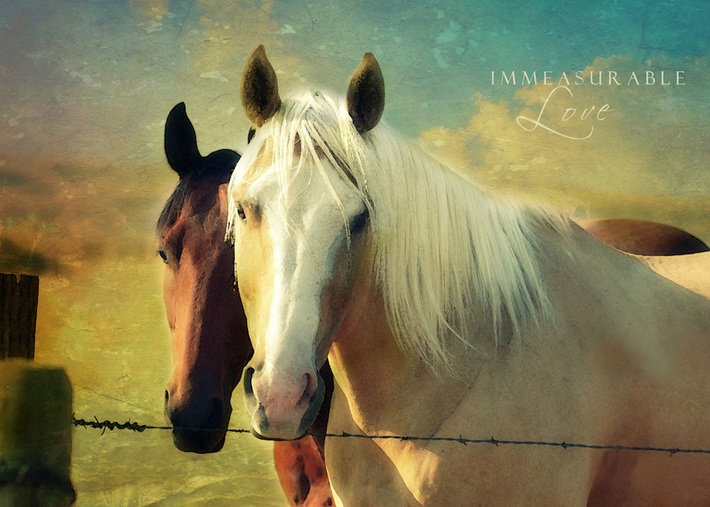 Immeasurable Love Horses