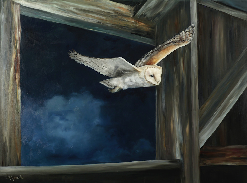 Night Flight Art | Marsha Clements Art