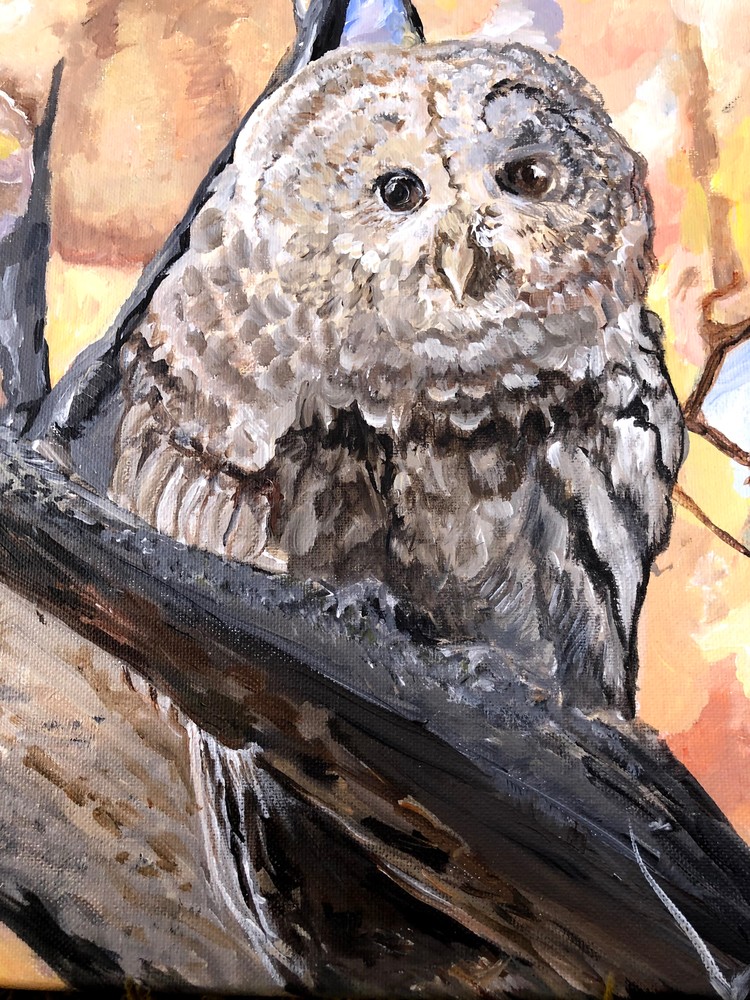Owl Art | Gray's Art Gallery
