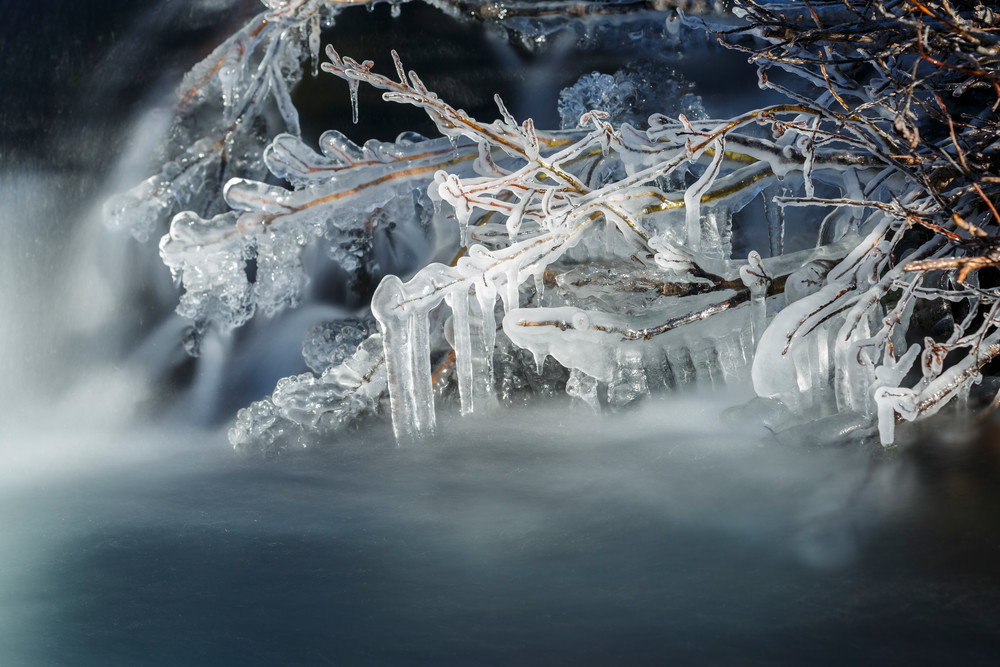 Fall landscape of Campbell Creek flowing with ice covered willow branches.  Chugach State Park in Anchorage, Alaska

Photo by Jeff Schultz/SchultzPhoto.com  (C) 2016  ALL RIGHTS RESVERVED