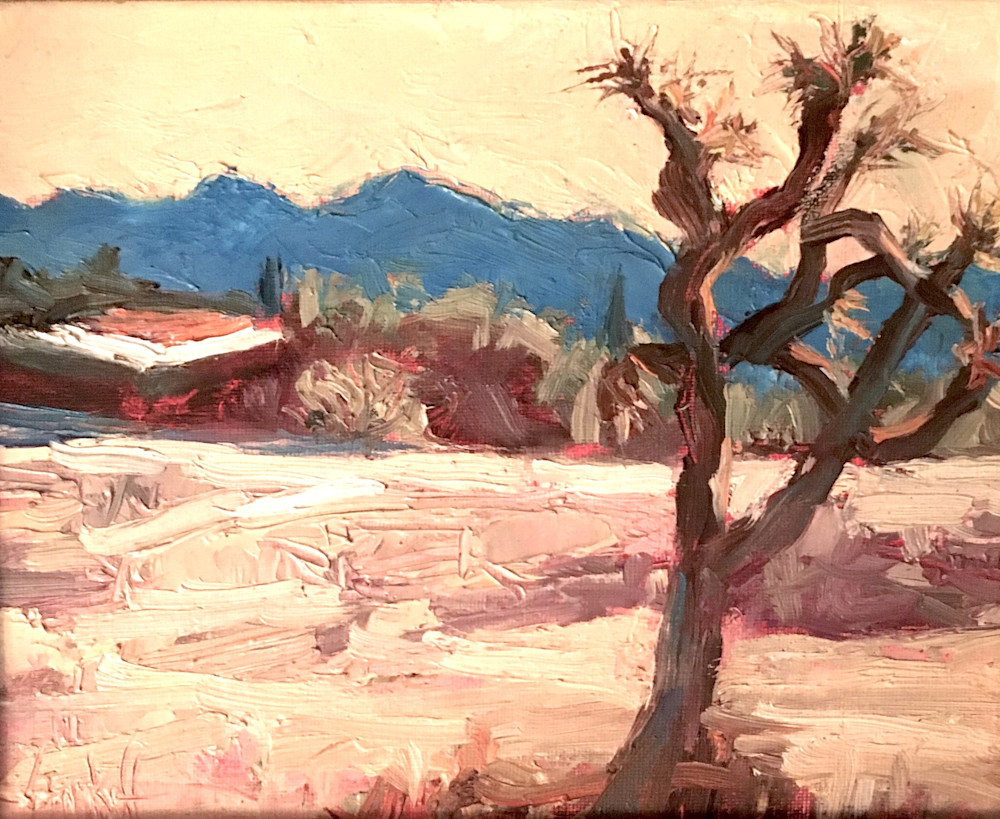 Joshua Tree Peekaboo Art | La Chica Art