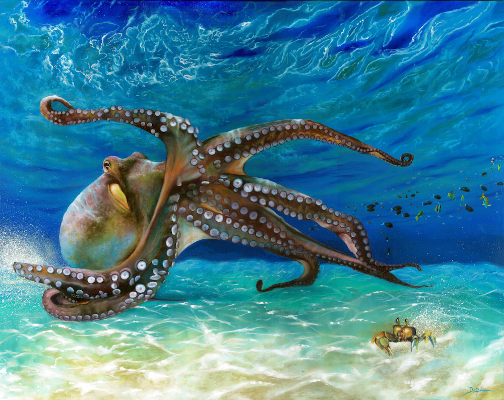 Octopus Art | Wildlife Creations