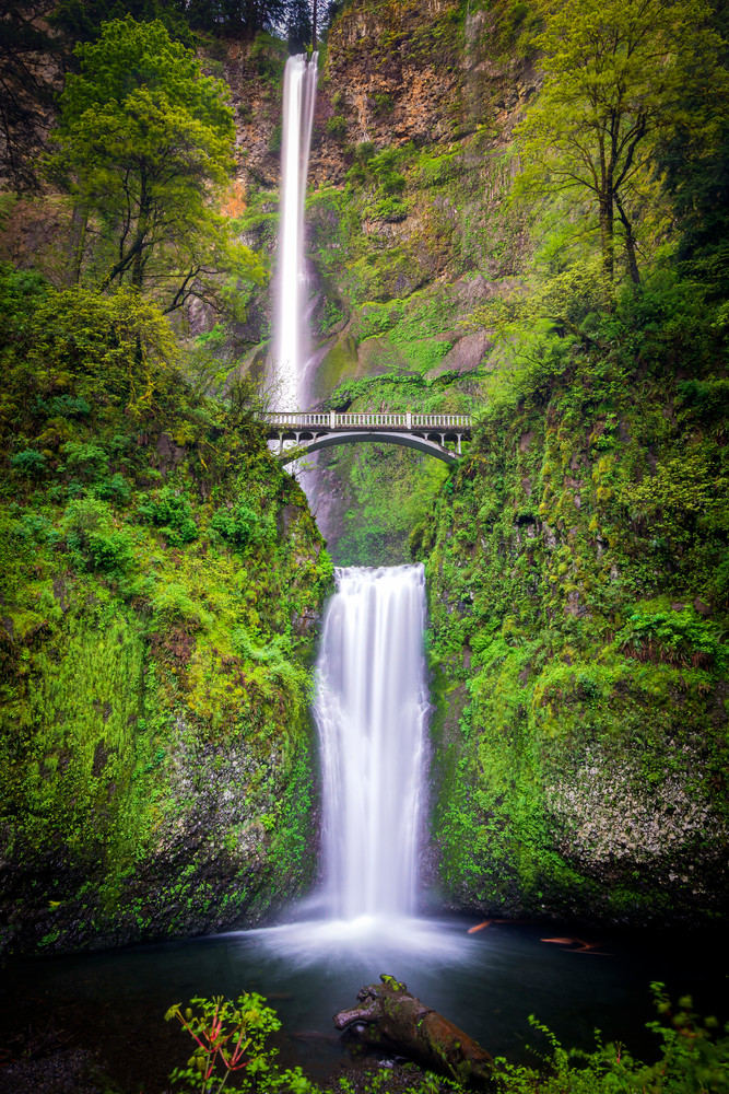 In Love With Multnomah Photography Art | marcyephotography