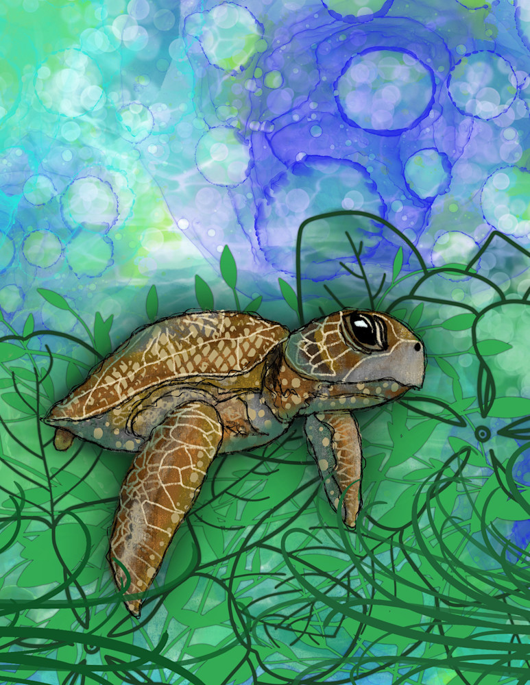 Sea Turtle Art | Lynne Medsker Art & Photography, LLC