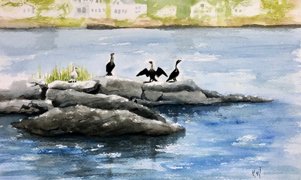 Cormorants on a Rock painting by Holly Whiting