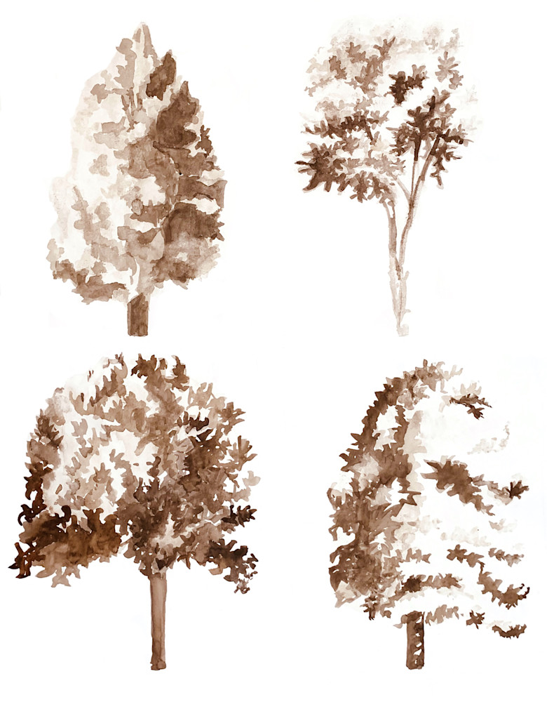 Tree Studies (Watercolor) Art | Valerie Larson Art & Design