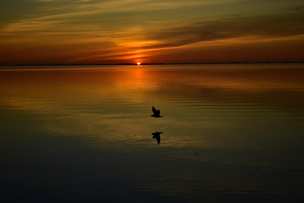 The Competition Photography Art | Set2Rize Images