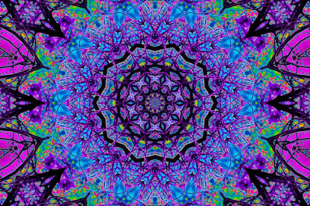 Ten Violet Spiders Art | Oz Fine Art Studio
