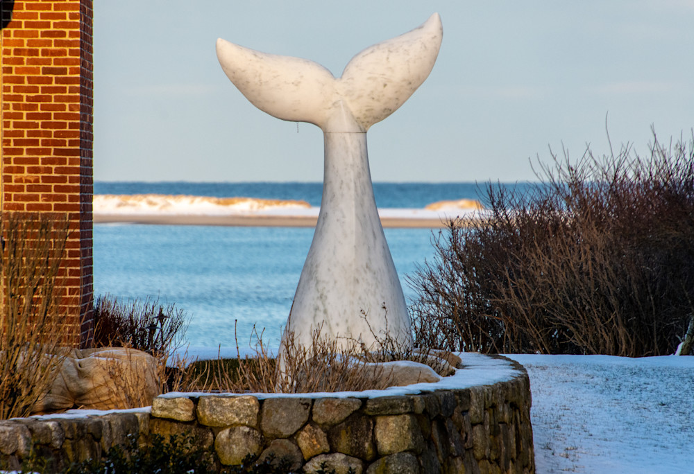 Whale's Tail Photography Art | The Colors of Chatham