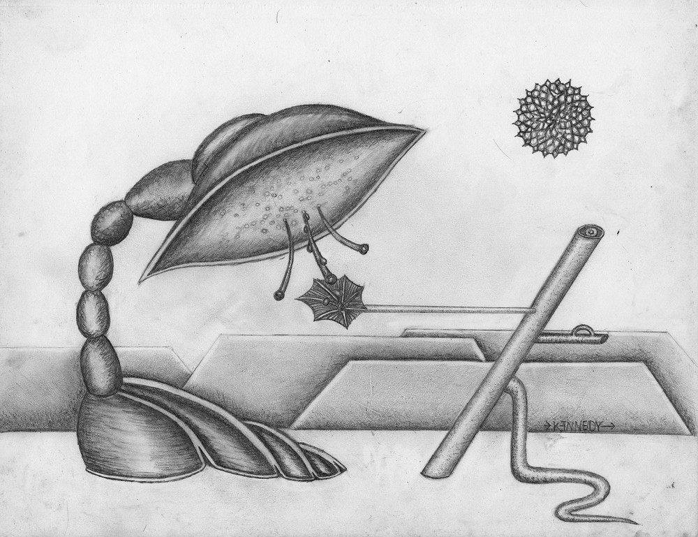 Still Life Art | Kennedy Art