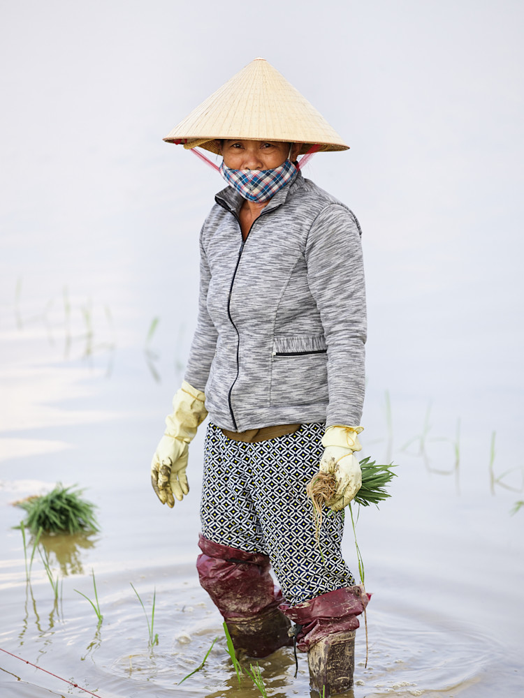 An unscripted portrait of a woman rice farmer in the water captured outside of Hoi An, Vietnam.