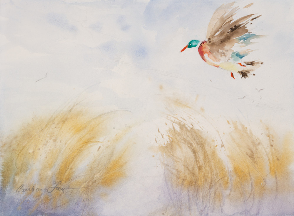 B.Myrick 150dpi 0113 Xsn1ka Art | Brenda Myrick Art