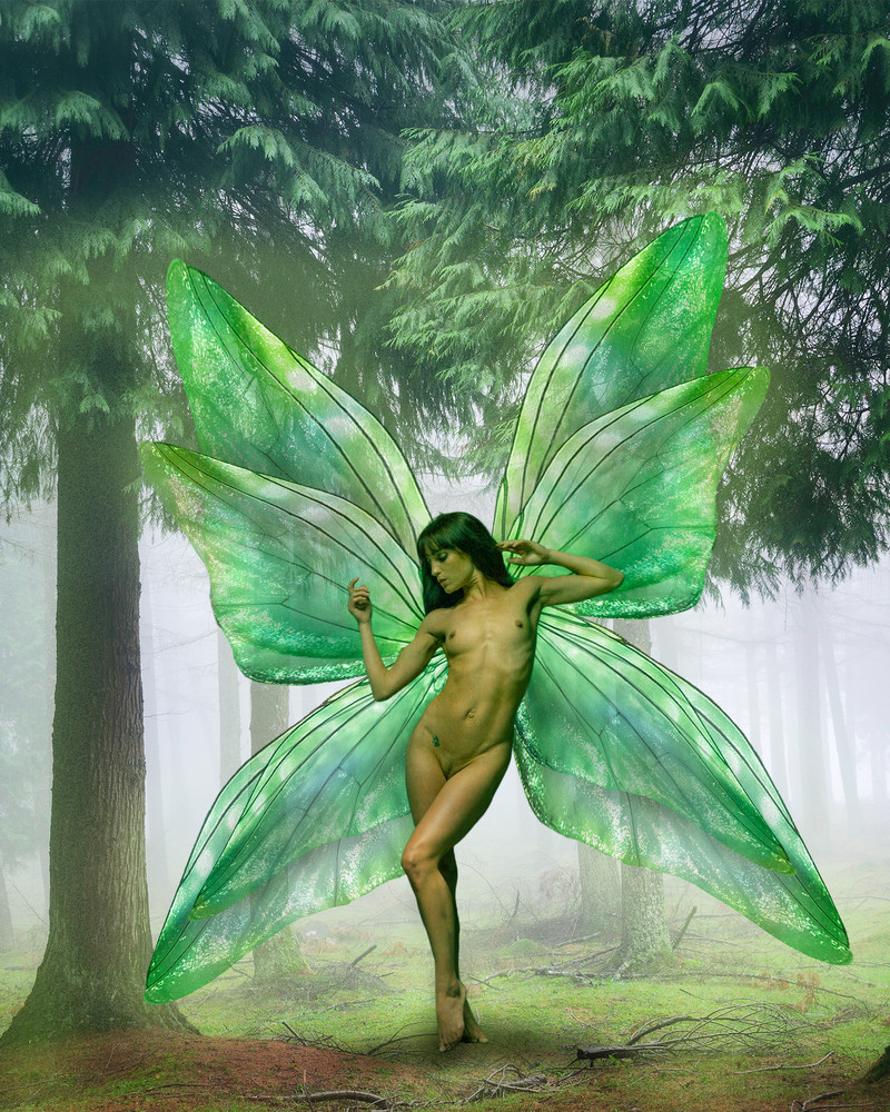Green Fairy in the Woods