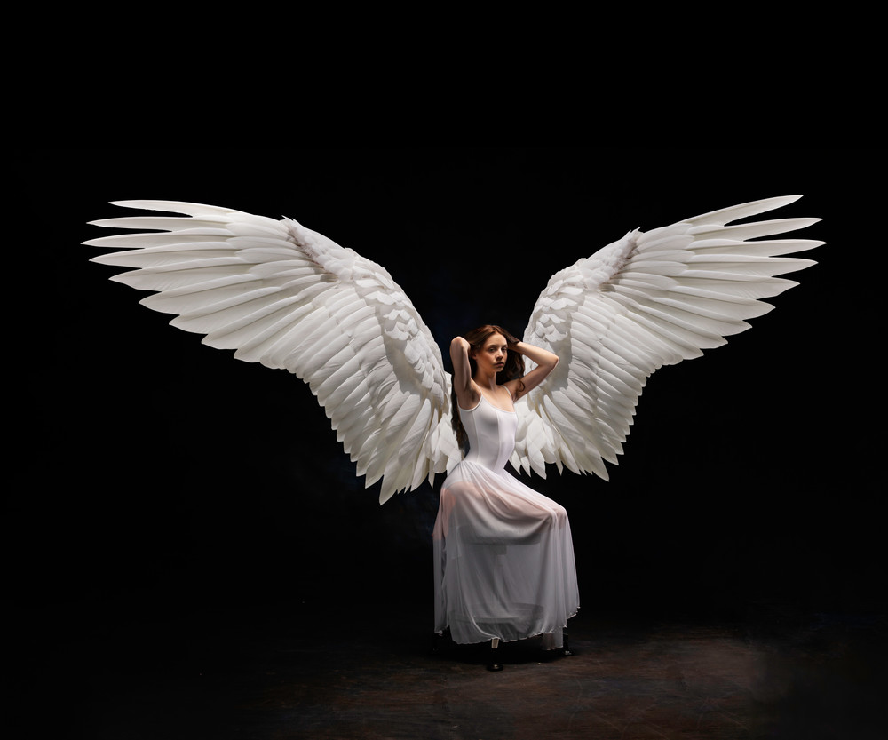 Elle with White Wings