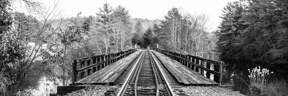 A Train Trestle Leads Into The Forest Print
