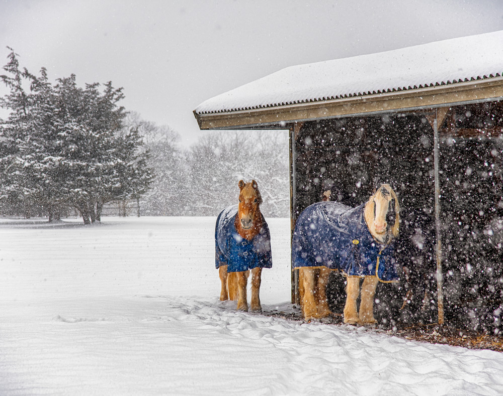 Misty Meadows Snow Ponies Art | Michael Blanchard Inspirational Photography - Crossroads Gallery