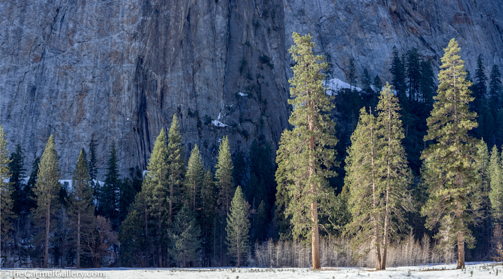 Winter Sun, Yosemite Art | The Carmel Gallery Winter Sun, Yosemite Art | The Carmel Gallery