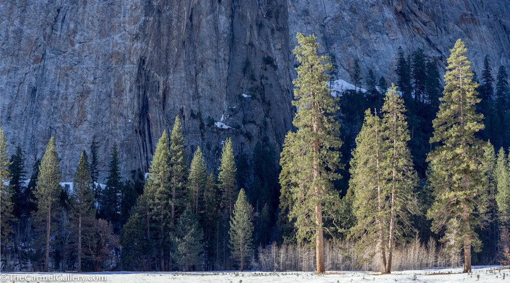 Winter Sun, Yosemite Art | The Carmel Gallery