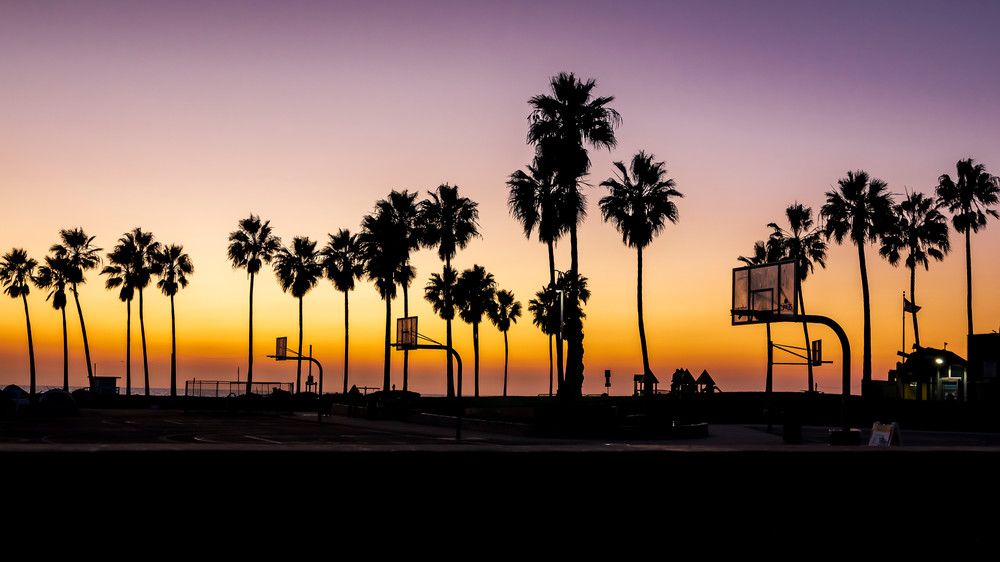 Palm Trees And Basketball Goals Photography Art | Kermit Carlyle Photography 