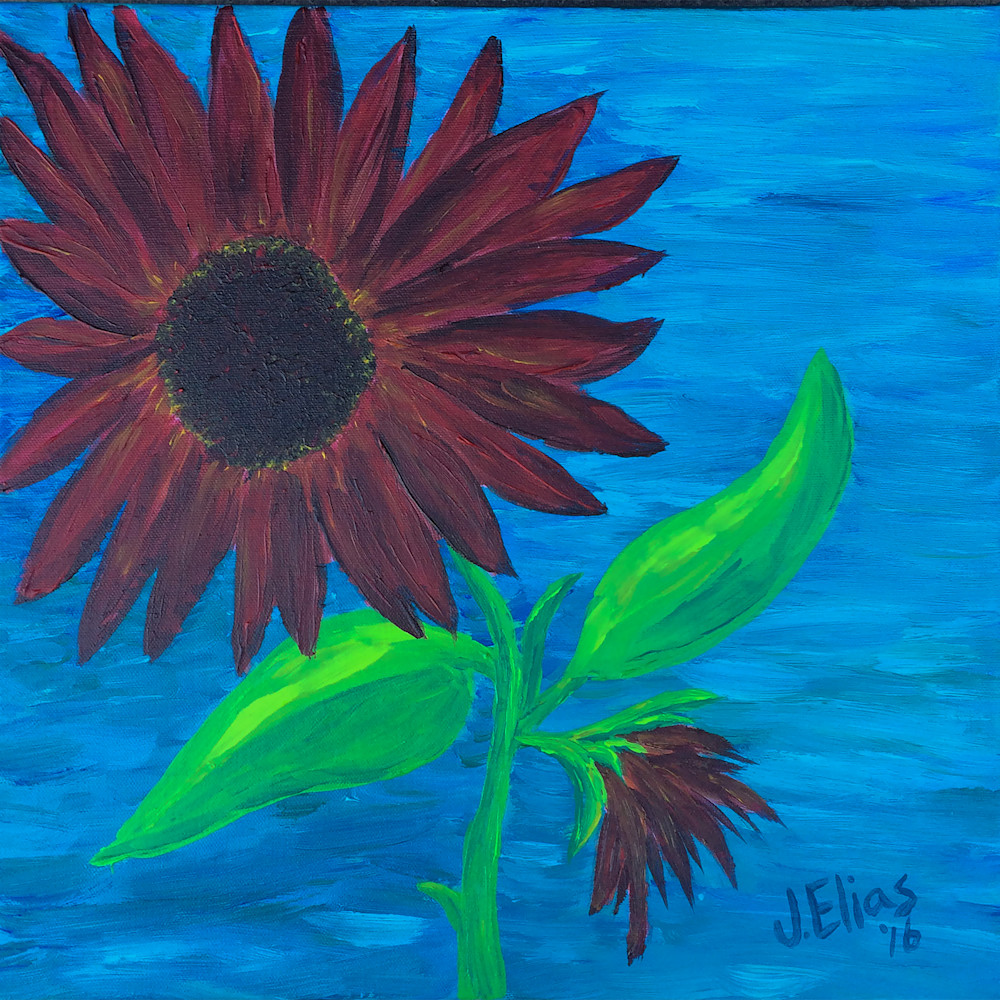 Shellys Sunflowers4 Art | Sunrise Galleries