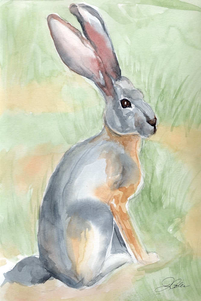 Jack Rabbit Art | Jeanine Colini Design Art