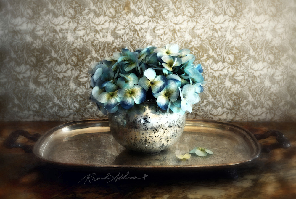 Hydrangea Flower Art