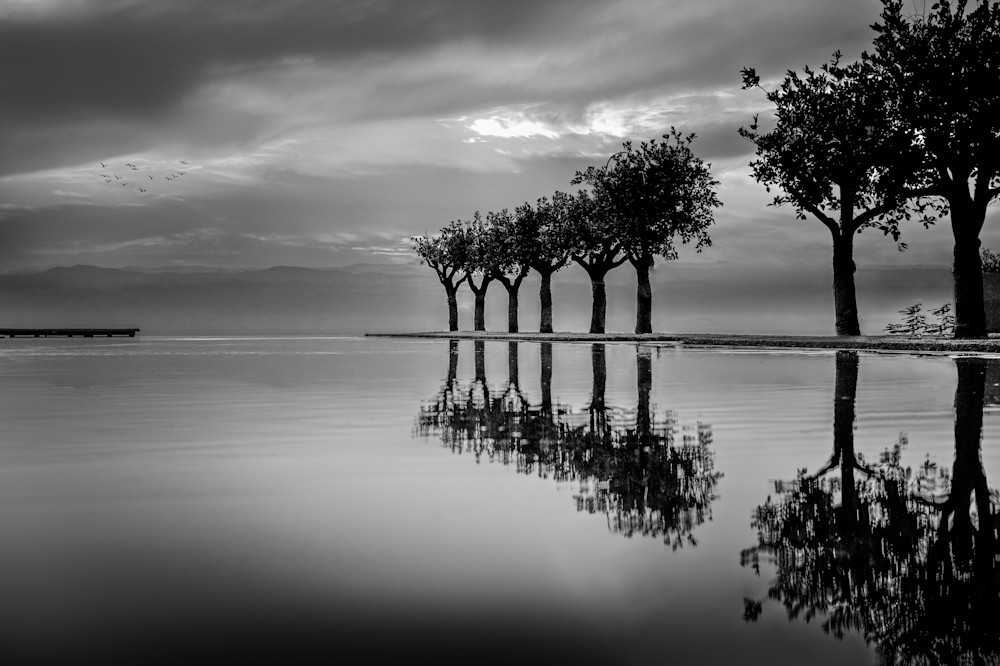 Harv Greenberg Photography - Reflections of Time