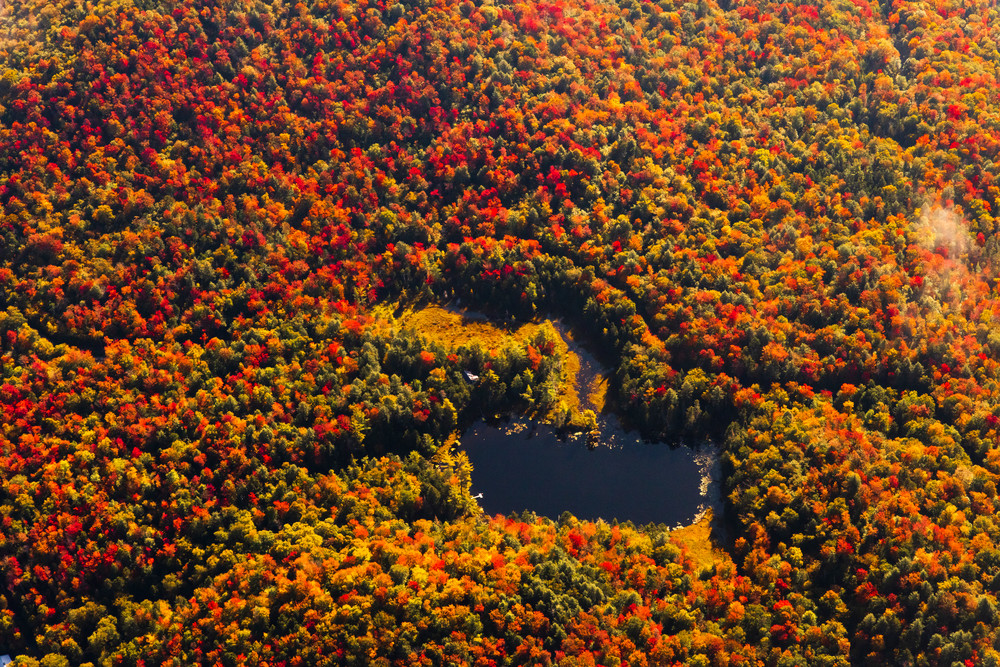 Big Chief Pond Fall Aerial Photography Art | Kurt Gardner Photography Gallery