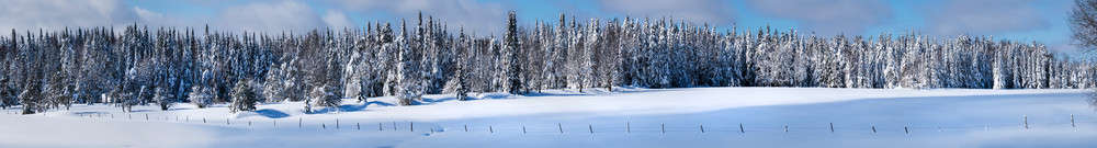 Winter Tug Hill Frozen Trees Ultra Panoramic Photography Art | Kurt Gardner Photography Gallery