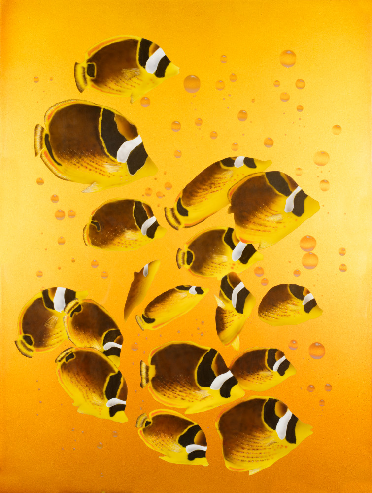 School Of Butterflies Art | A Touch of Air Custom Airbrush LLC