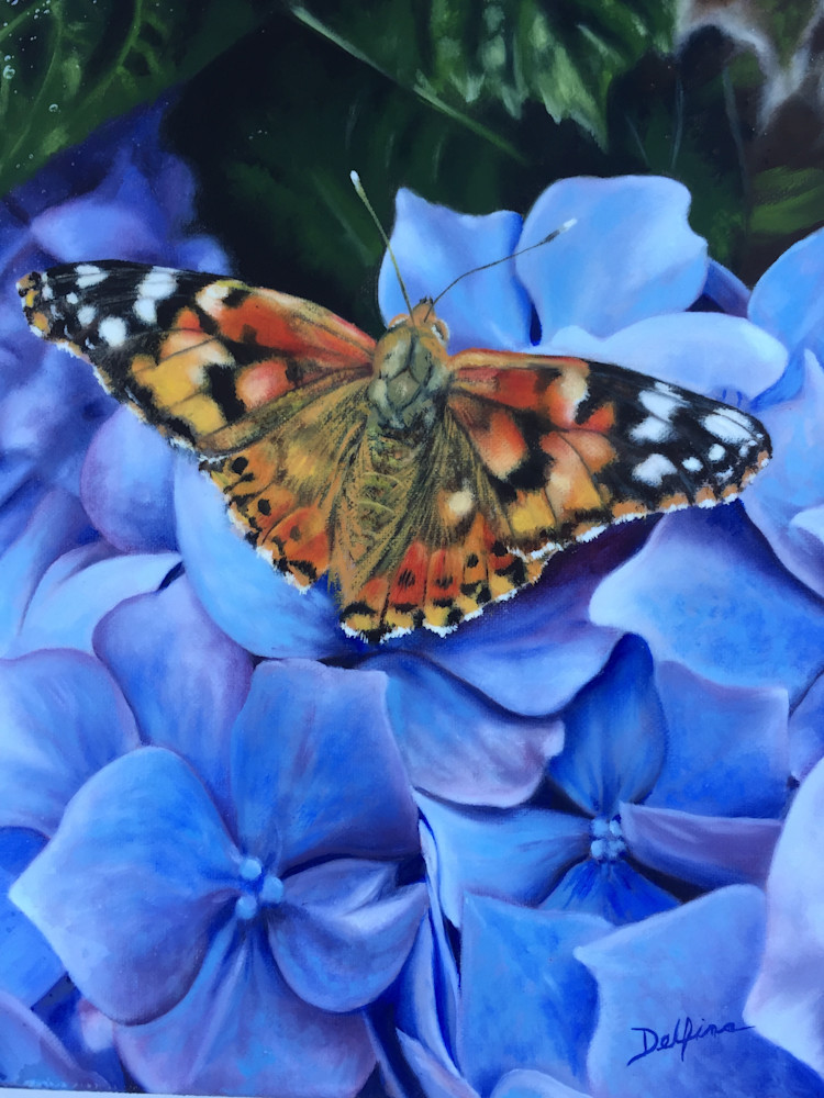 Butterfly Art | Wildlife Creations