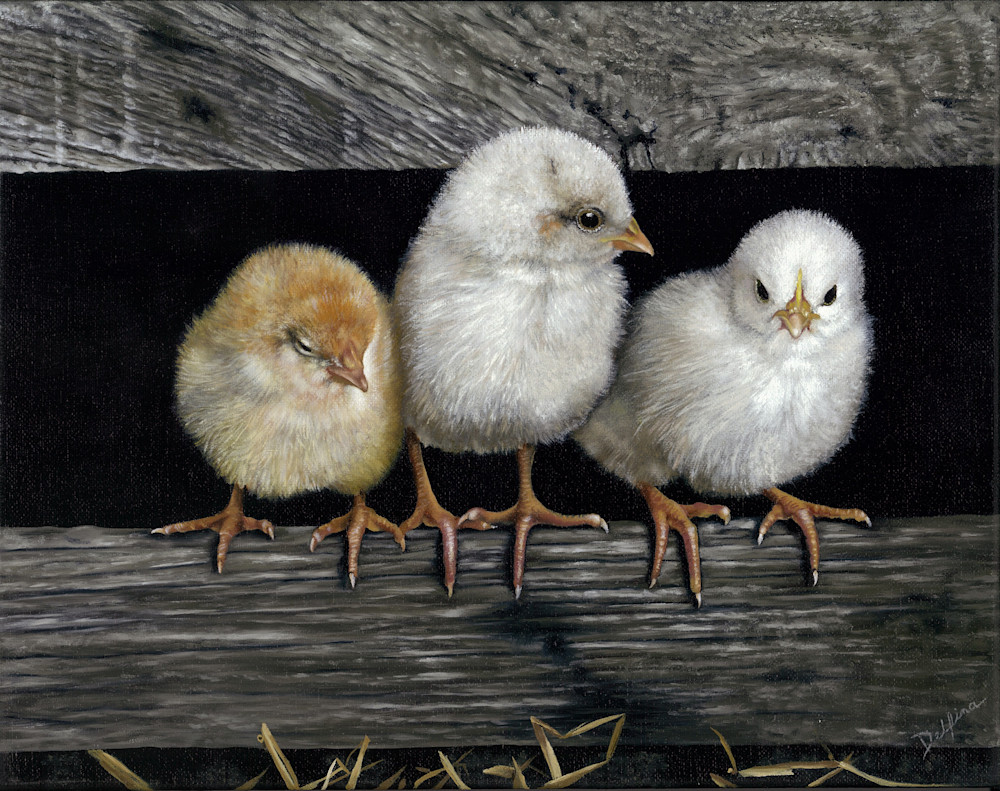 Chicks Art | Wildlife Creations