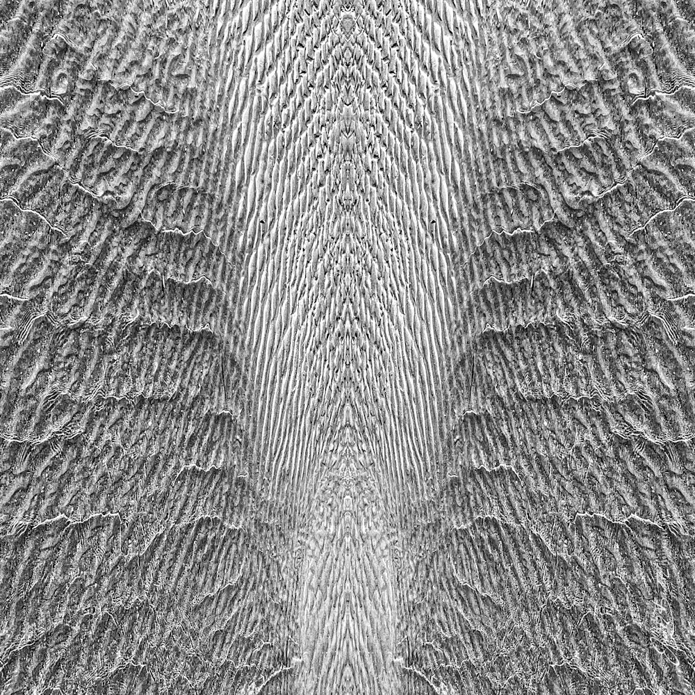 Symmetry Waves Art | Judith Barath Arts