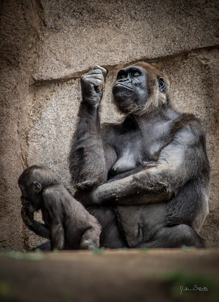 The Thinker In Full Thought! (Gorilla With Attitude 1 Of 2) Photography Art | Julian Starks Photography LLC.