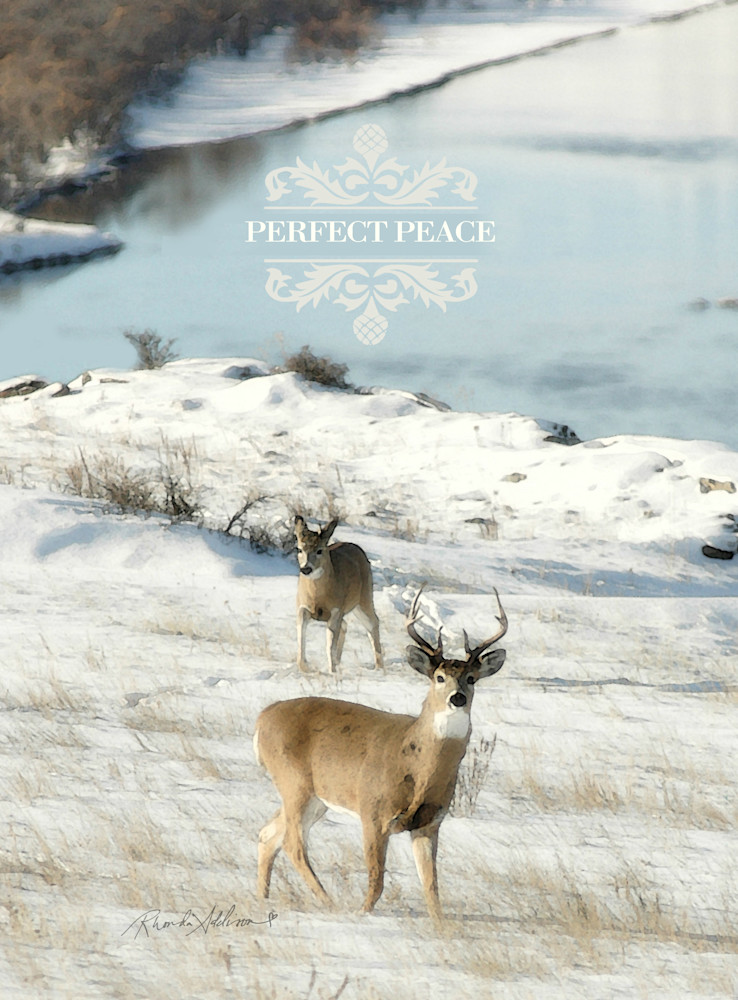 Perfect Peace Deer in Snow Art
