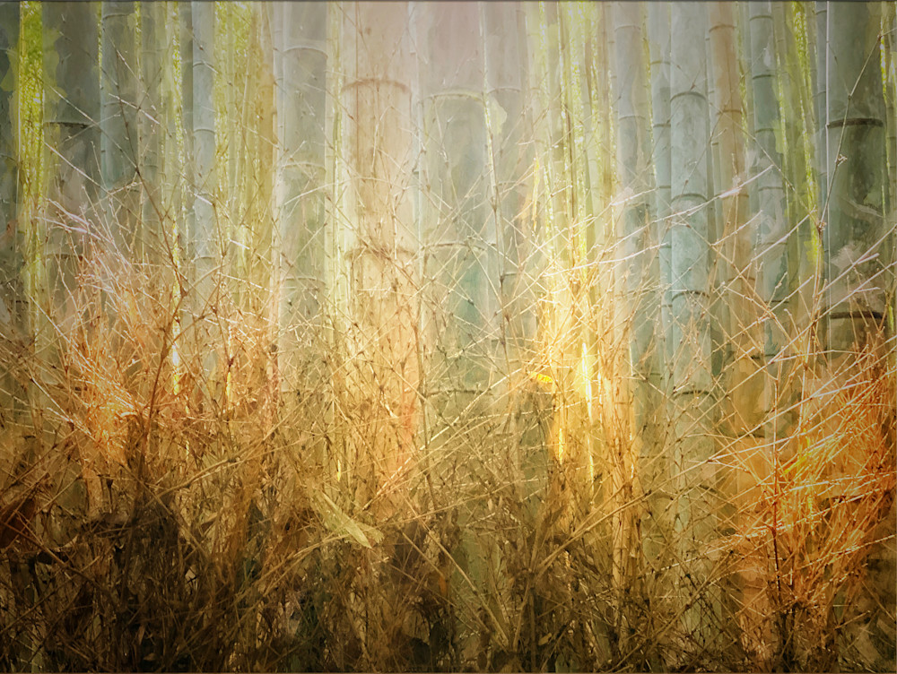 Golden Bamboo Photography Art | Carol's Little World