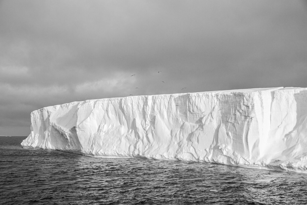Black and White- Icebergs of Antarctica | Nicki Geigert, Photographer