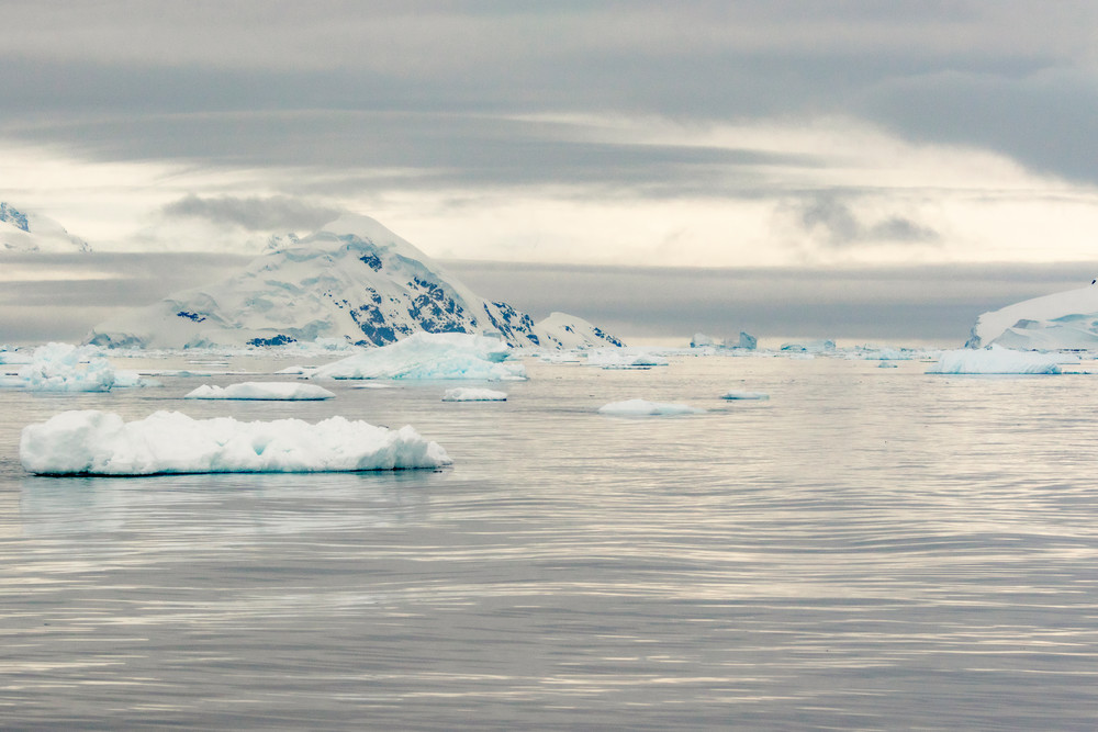 Icebergs in steel grey water nature and landscape photography | Nicki Geigert, Photographer
