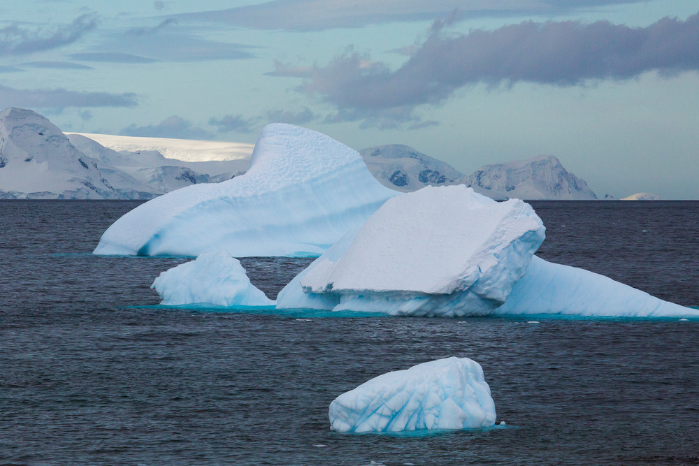Icebergs with interesting shapes at sea with glaciers and mountains in the background under a blue sky