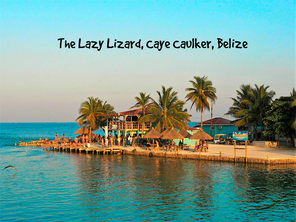 Lazy Lizard Bar