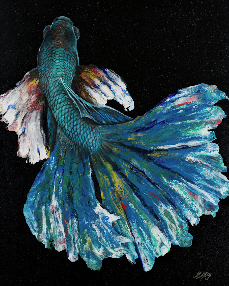 Abalone Betta Abalone Betta