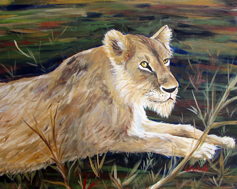 Queen of the Jungle fine art prints and merchandise of a lioness in the wild | Linda Sacketti