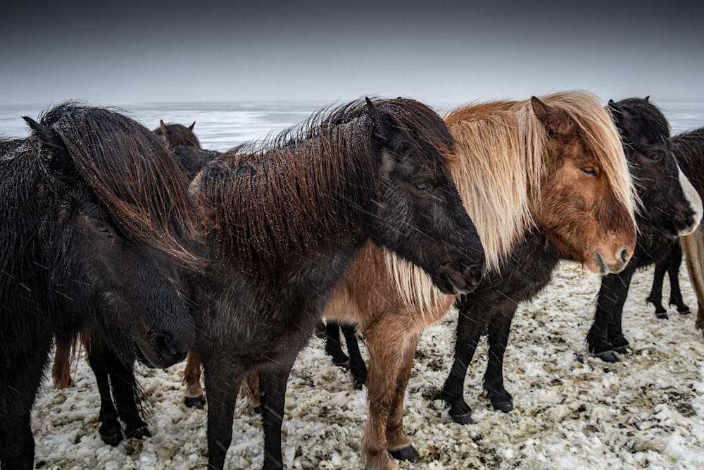 Sons Of Sleipnir Photography Art | Garsha18 Fine Art Photography