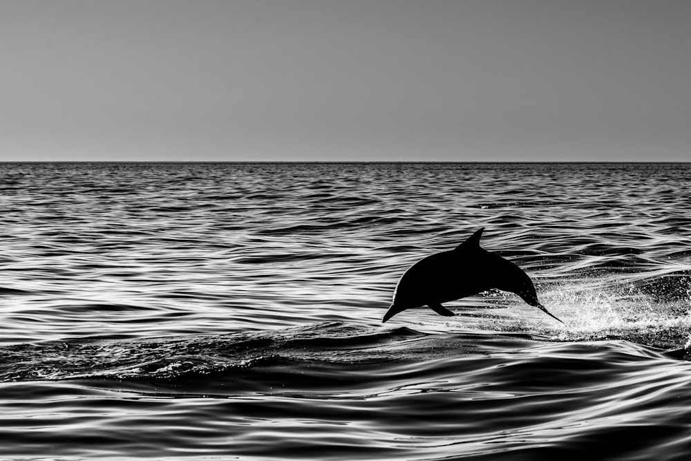 Ocean Silhouette Photography Art | Garsha18 Fine Art Photography