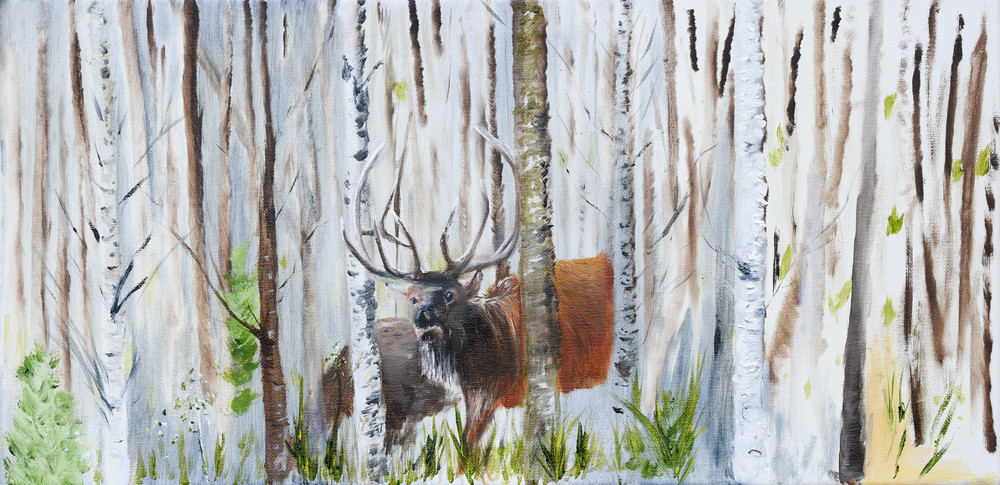 Elk In The Birch  Art | Drivdahl Creations