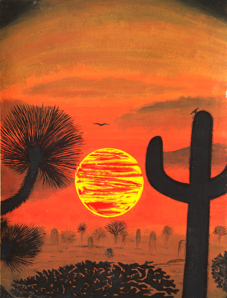 Sonoran Sunset Photography Art | ArtbyAEllis
