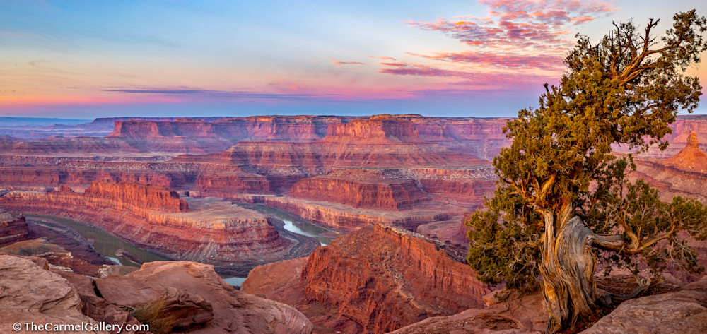 Spring Sunrise, Canyonlands Art | The Carmel Gallery