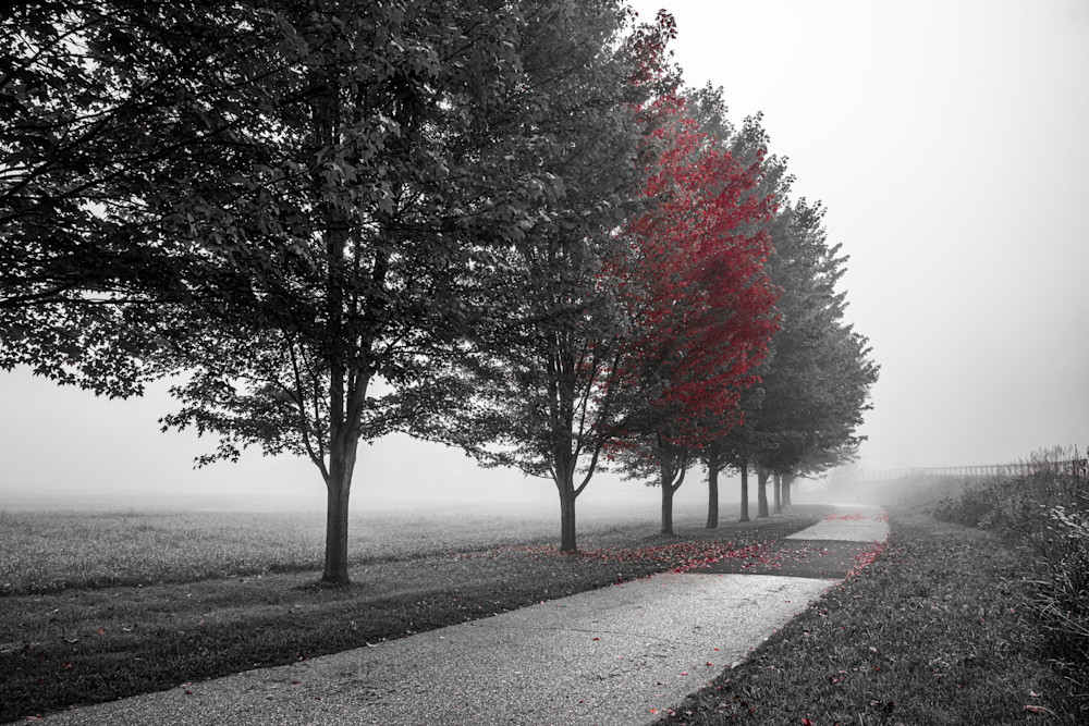 The Coming Fall Photography Art | Garsha18 Fine Art Photography