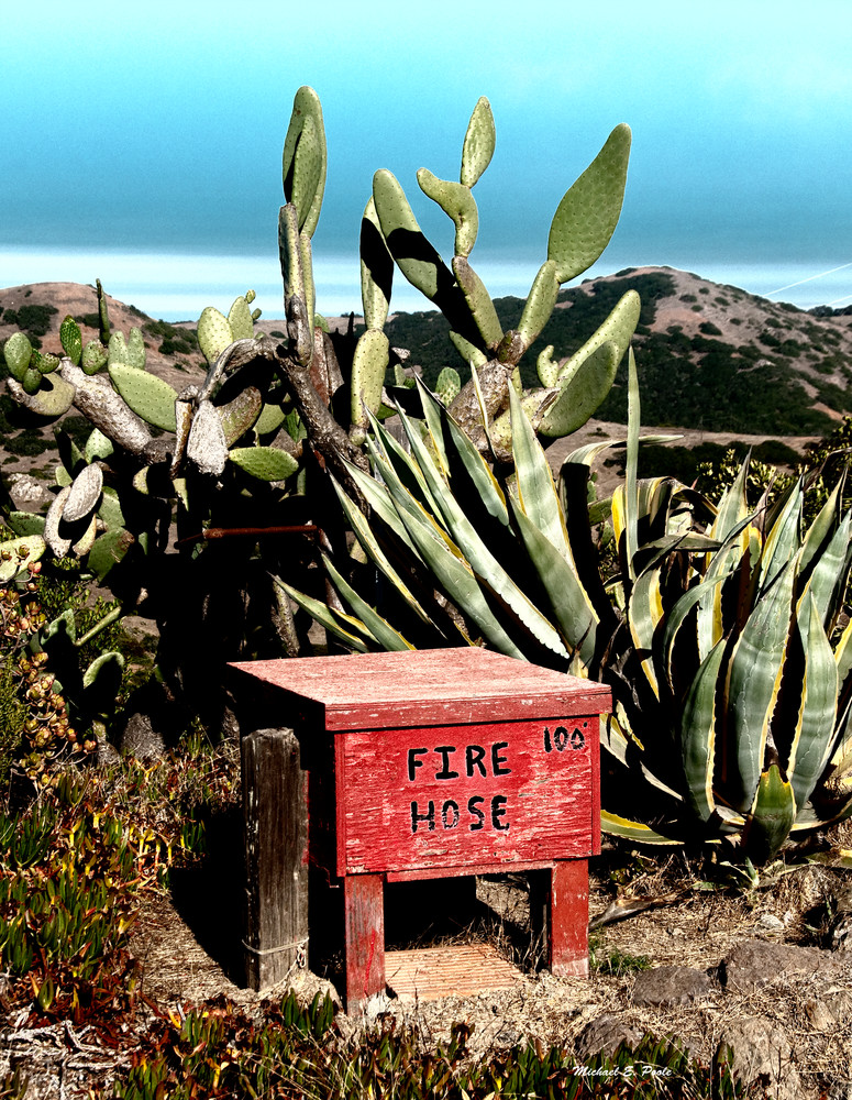 Fire Hose At Catalina Airport Photography Art | Pacific Coast Photo